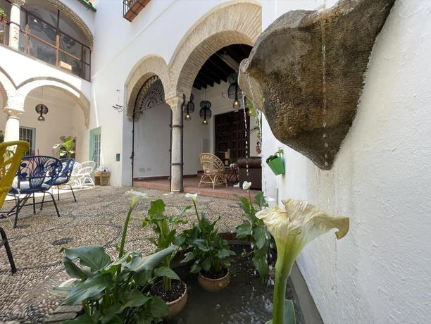 Imagen general del Apartamentos Palacete del Águila. Foto 9