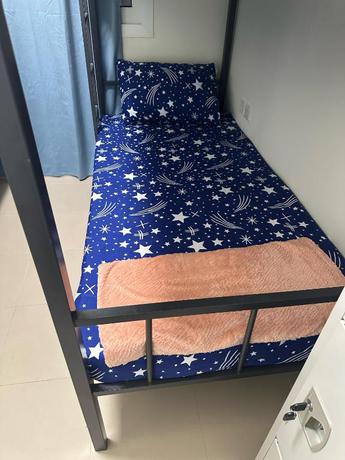 Imagen de la habitación del Apartamentos Palm Inn Hostel Mix Dormitory. Foto 2