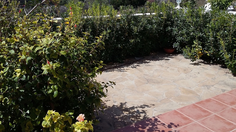 Imagen de los exteriores del Apartamentos Palma Blanca 3000. Foto 8