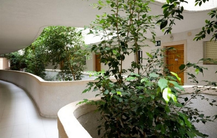 Imagen general del Apartamentos Palmera Beach, Pilar de la Horadada. Foto 15