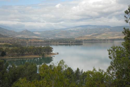 Imagen de la habitación del Apartamentos Parque Ardales. Foto 11