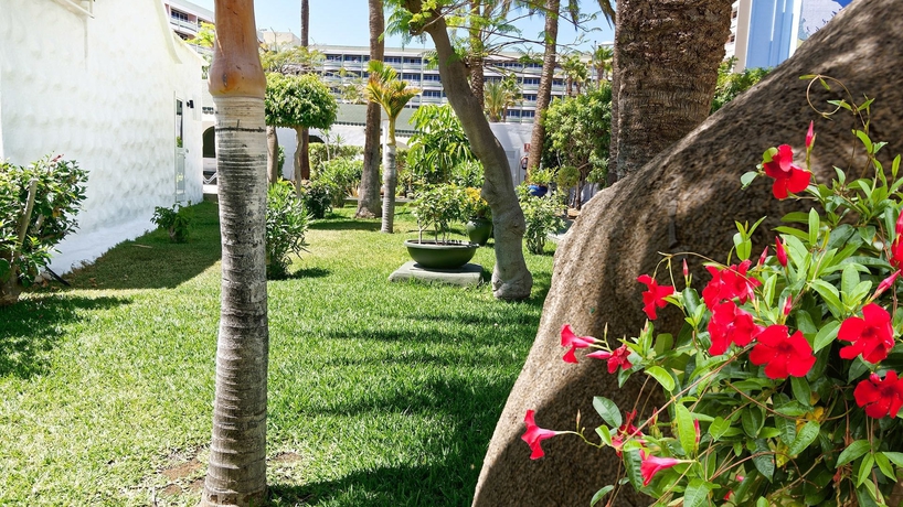 Imagen de la habitación del Apartamentos Parque Paraiso I. Foto 6