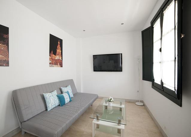 Imagen general del Apartamentos Patios de la Cartuja. Foto 5