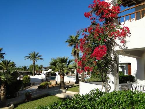 Imagen general del Apartamentos Petunia. Foto 7