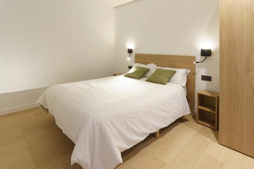 Imagen general del Apartamentos Pillotegi parking gratuito. Foto 6