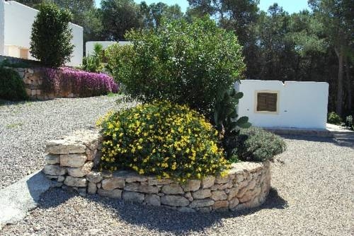 Imagen general del Apartamentos Pinosol, Santa Eulalia des Riu. Foto 7