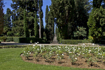 Imagen general del Apartamentos Poggio Torselli. Foto 13