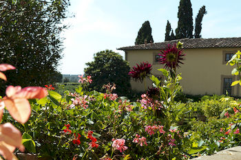 Imagen general del Apartamentos Poggio Torselli. Foto 15