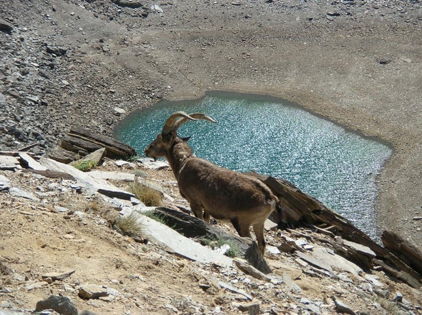 Imagen de los exteriores del Apartamentos Poqueira, Capileira ( Alpujarra ). Foto 9