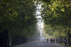 Imagen general del Apartamentos Prater, Leopoldstadt. Foto 14