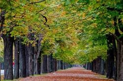 Imagen general del Apartamentos Prater, Leopoldstadt. Foto 21