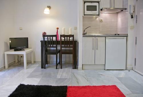 Imagen general del Apartamentos Puerta Del Sol, Madrid. Foto 9