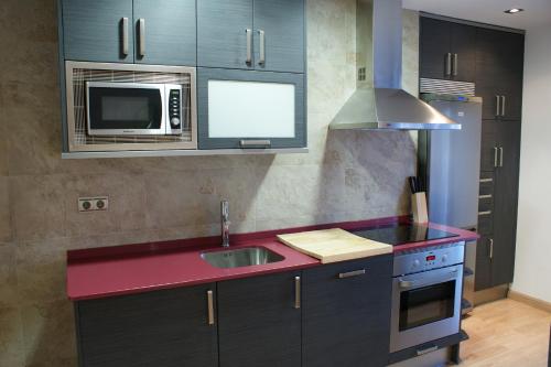 Imagen de los interiores del Apartamentos Puerta de Ordesa Garden. Foto 6