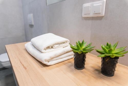 Imagen de los interiores del Apartamentos Q17. Foto 16