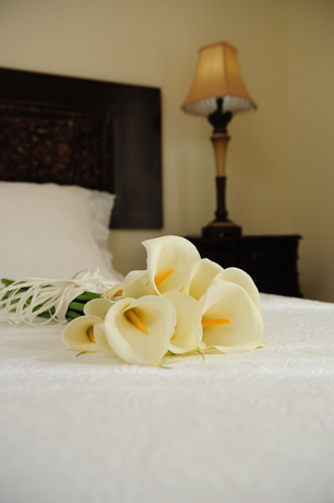 Imagen de la habitación del Apartamentos Quinta De Santa Maria. Foto 9