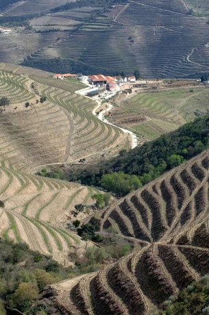 Imagen de los exteriores del Apartamentos Quinta Nova Winery House - Relais and Châteaux. Foto 10