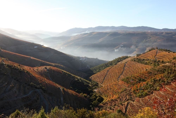 Imagen de los exteriores del Apartamentos Quinta Nova Winery House - Relais and Châteaux. Foto 14