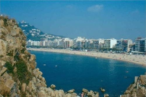 Imagen general del Apartamentos RV Apartamentos Lotus. Foto 15