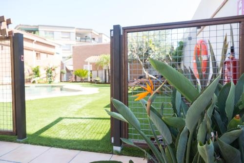 Imagen general del Apartamentos Rambla De Marisol. Foto 7