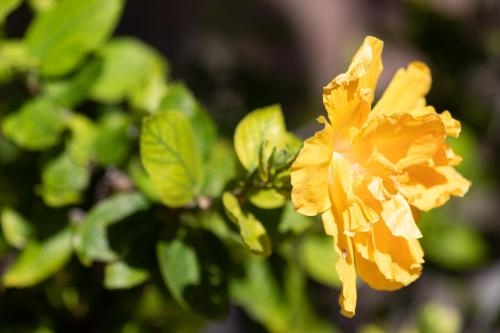 Imagen de los exteriores del Apartamentos Residencial El Llano. Foto 12