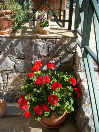 Imagen general del Apartamentos Romantica Hotel. Foto 3