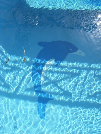 Imagen de la piscina del Apartamentos Romantica Hotel. Foto 15