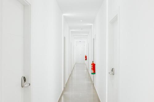 Imagen general del Apartamentos Ros Lil Suites. Foto 2
