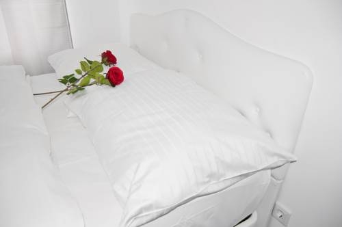 Imagen general del Apartamentos Royal Resort Apartments Karmeliterhofgasse. Foto 8