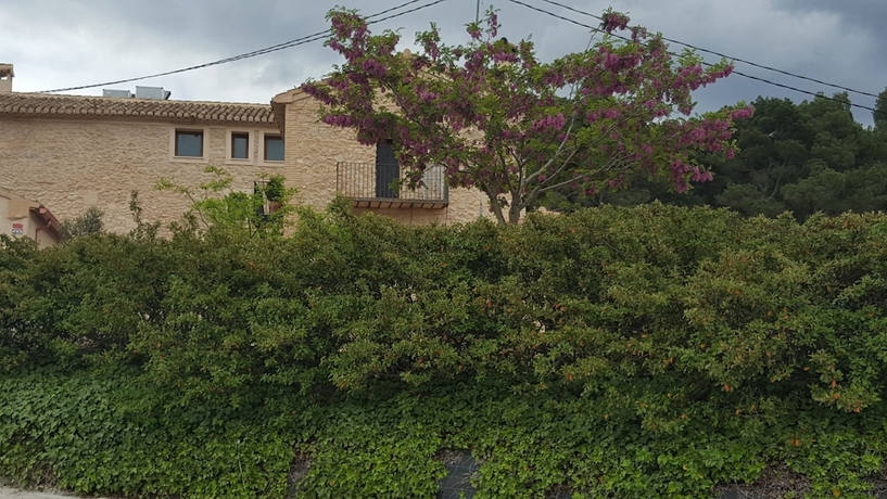 Imagen de la habitación del Apartamentos Rurales L'alquería Del Pilar. Foto 4