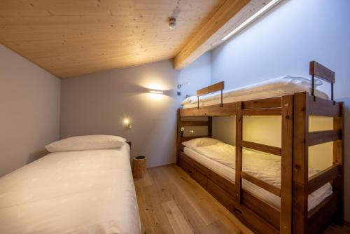 Imagen general del Apartamentos SWISSPEAK Resorts by Pierre & Vacances Premium Vercorin. Foto 6