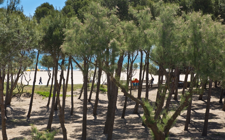 Imagen de los exteriores del Apartamentos Salles Beach apartamentos. Foto 9