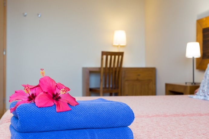 Imagen de la habitación del Apartamentos San Diego, La Matanza de Acentejo. Foto 13