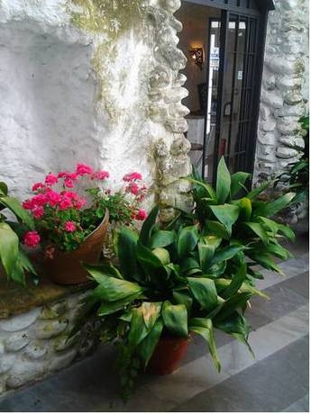 Imagen general del Apartamentos Santa Ana, Granada. Foto 3