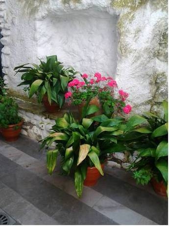 Imagen general del Apartamentos Santa Ana, Granada. Foto 5