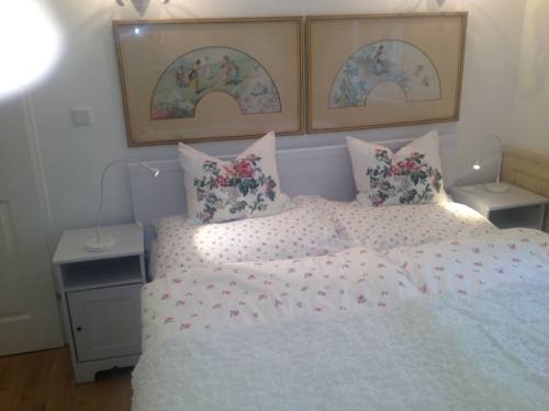 Imagen de los exteriores del Apartamentos Schönes In Idyllischer Stadtvilla. Foto 7