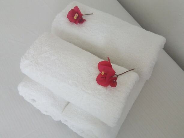 Imagen general del Apartamentos Sirocco. Foto 11