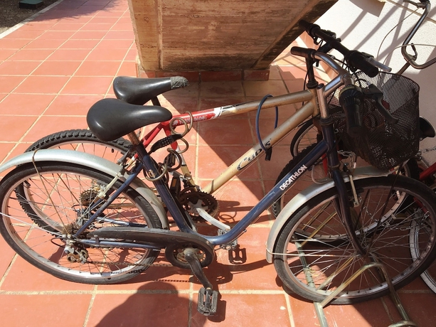 Imagen general del Apartamentos Sol Millet. Foto 2