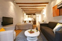 Imagen general del Apartamentos Ssg Borne Down Town Studios. Foto 2