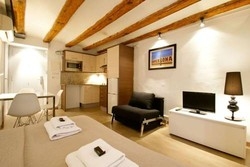 Imagen general del Apartamentos Ssg Borne Down Town Studios. Foto 7