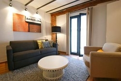 Imagen general del Apartamentos Ssg Borne Down Town Studios. Foto 11