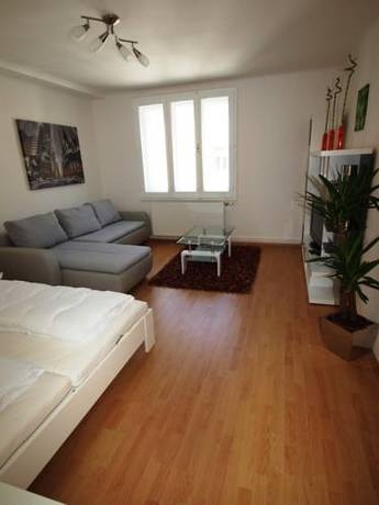 Imagen general del Apartamentos Star Apartments - Favoriten II. Foto 28