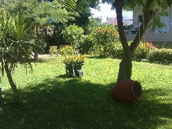 Imagen de los exteriores del Apartamentos Stavris Studios. Foto 9