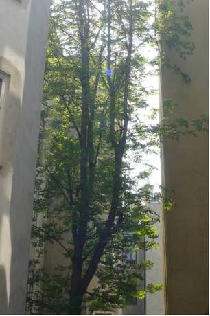 Imagen de la habitación del Apartamentos Studio Augarten. Foto 7