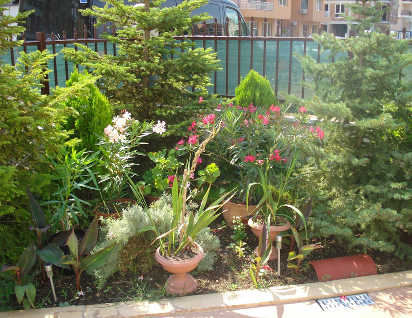Imagen general del Apartamentos Summer Breeze, Sunny Beach. Foto 4