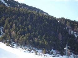 Imagen general del Apartamentos Superior El Tarter. Foto 12