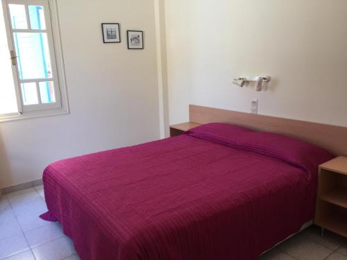 Imagen general del Apartamentos Sylvia, Aegina. Foto 2
