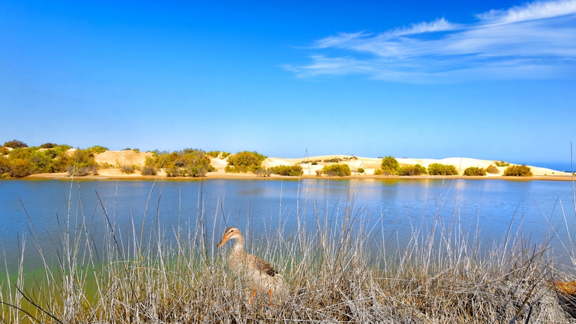 Imagen de los exteriores del Apartamentos Tamara. Foto 10