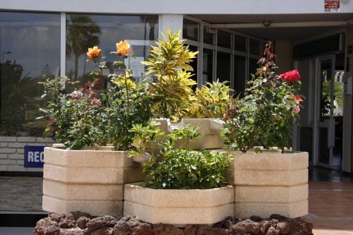 Imagen general del Apartamentos Teneguia, Playa del Inglés. Foto 5