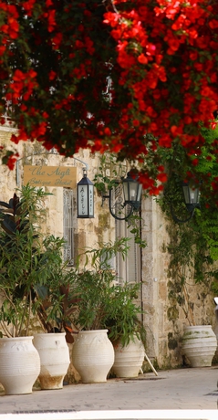 Imagen de los exteriores del Apartamentos The Aigli. Foto 4