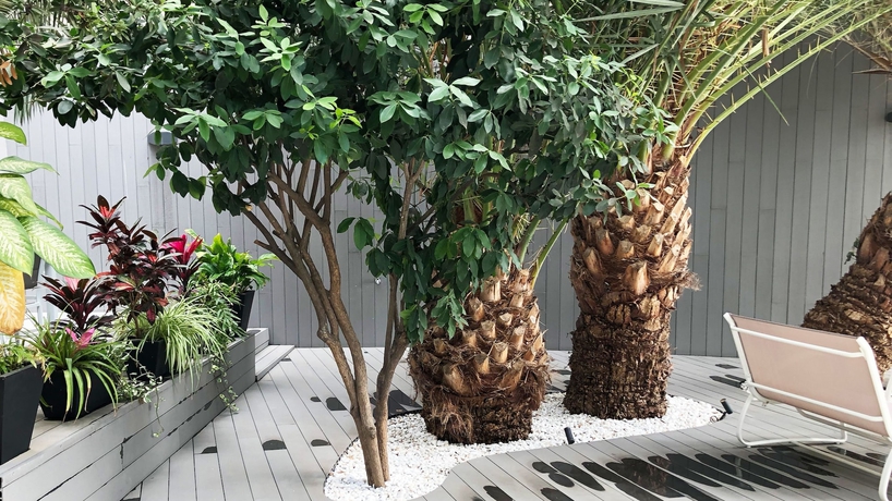 Imagen de los exteriores del Apartamentos The Hive Boutique - Adults Only. Foto 15